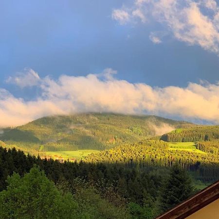 Black Forest Appartement - Brandenkopfblick 泽尔阿哈莫斯巴赫 外观 照片