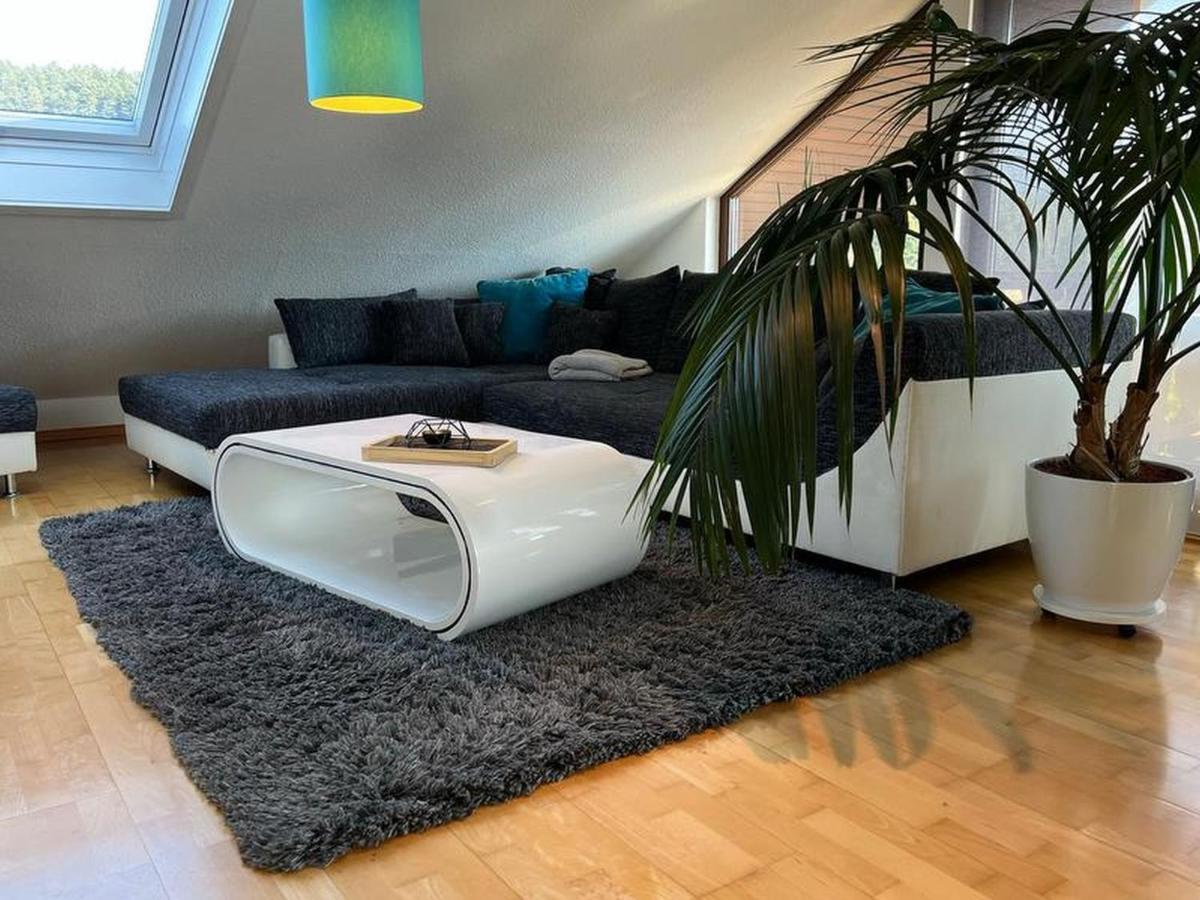 Black Forest Appartement - Brandenkopfblick 泽尔阿哈莫斯巴赫 外观 照片