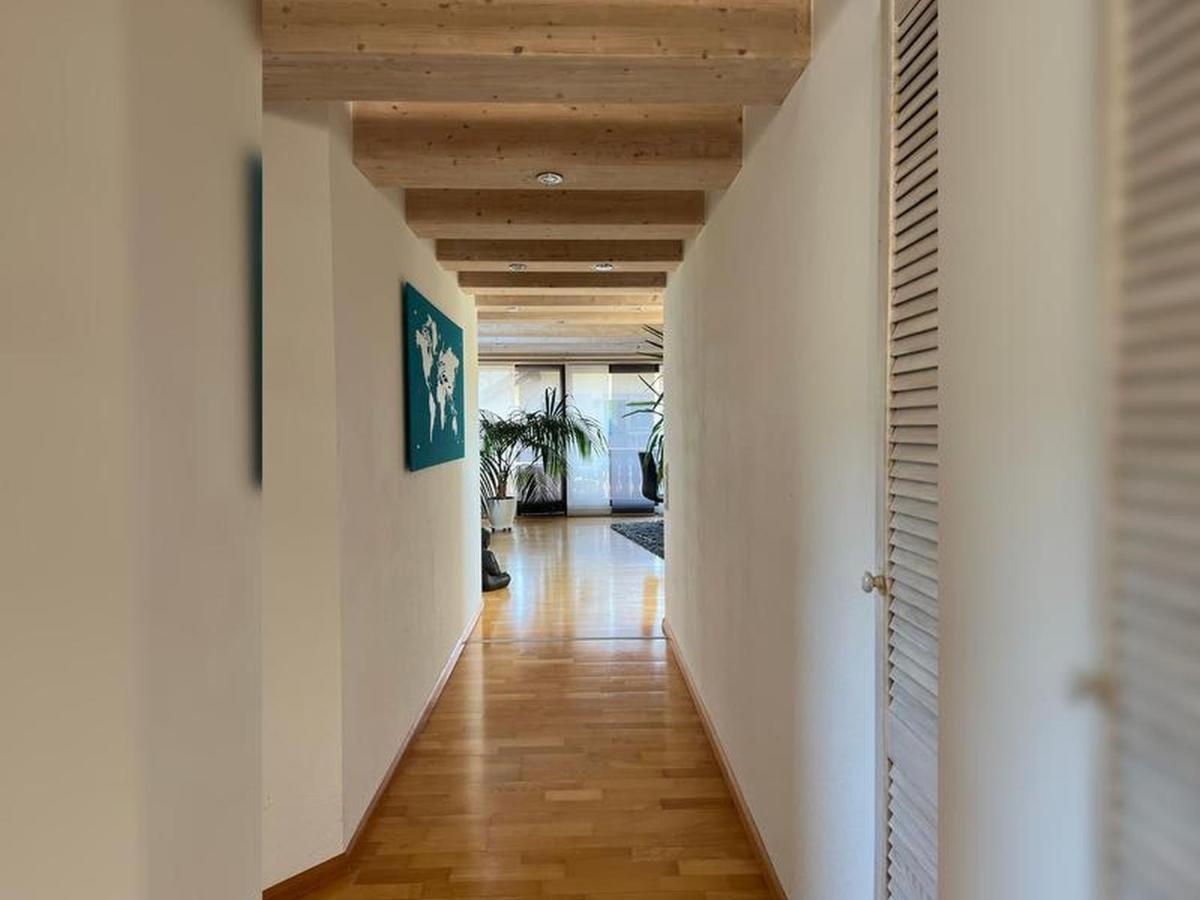 Black Forest Appartement - Brandenkopfblick 泽尔阿哈莫斯巴赫 外观 照片