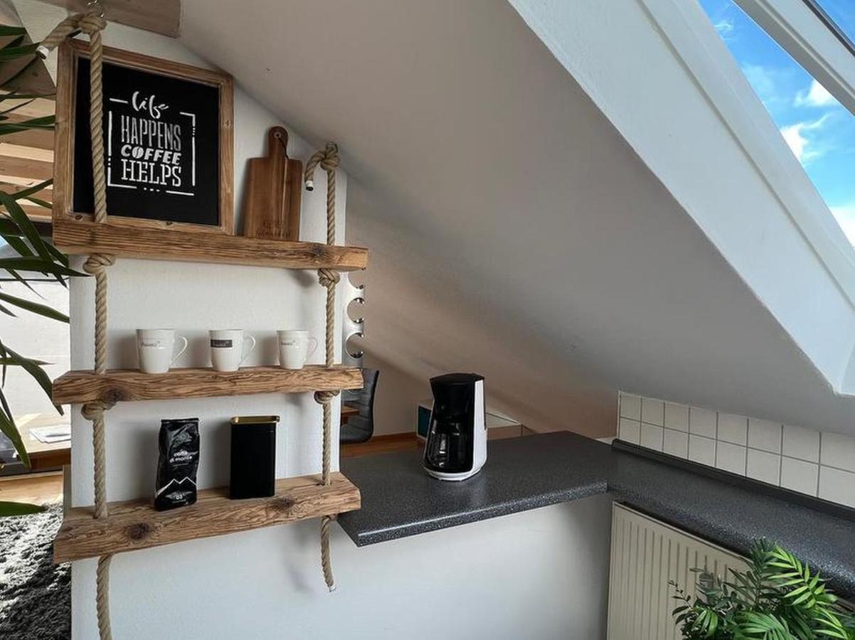 Black Forest Appartement - Brandenkopfblick 泽尔阿哈莫斯巴赫 外观 照片