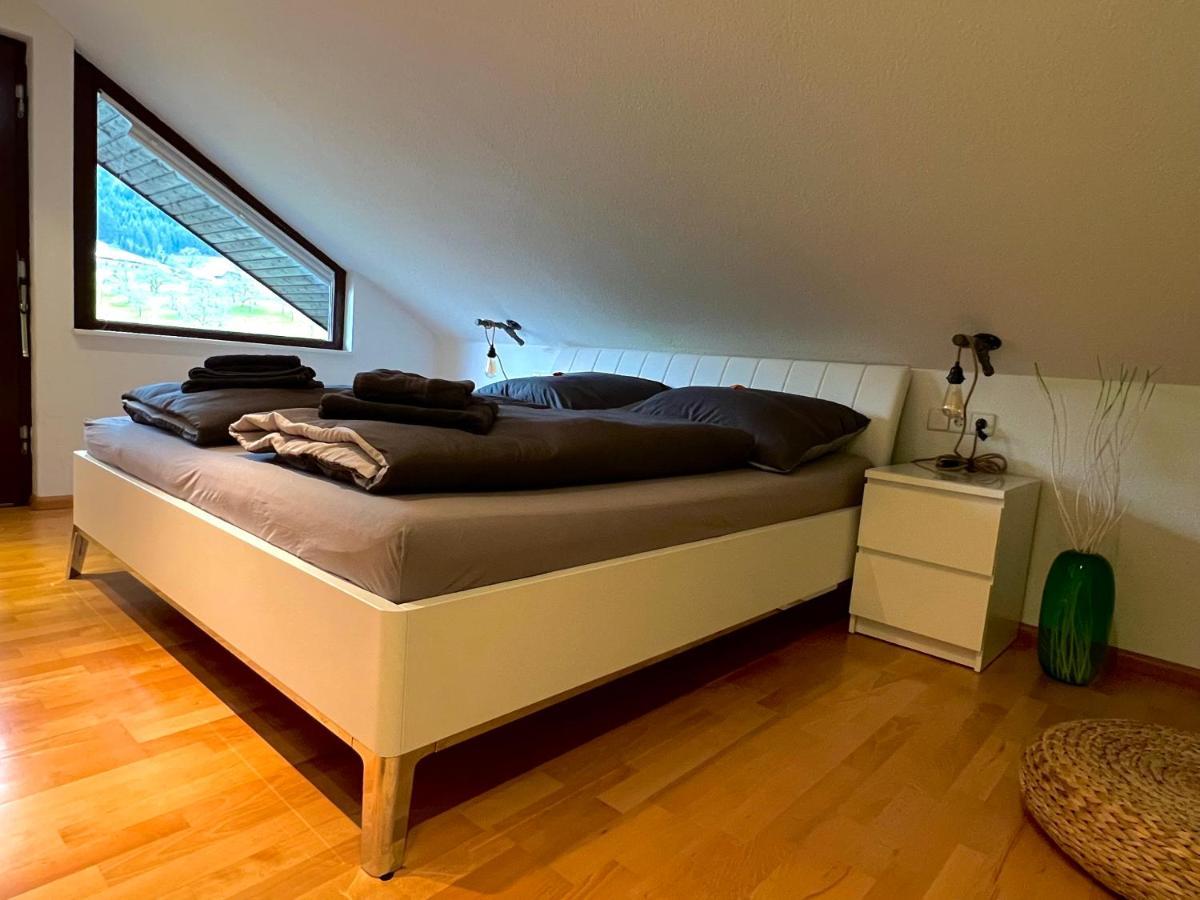 Black Forest Appartement - Brandenkopfblick 泽尔阿哈莫斯巴赫 外观 照片